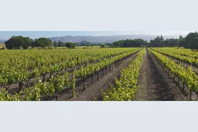 1300 Yount Mill Road, Napa, CA 94558 - Photo 5