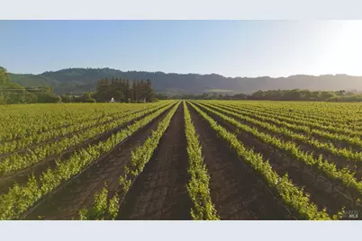 1300 Yount Mill Road, Napa, CA 94558 - Photo 9