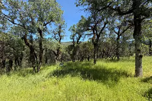 80540 Mina Rd, Covelo, CA 95428 - Photo 19
