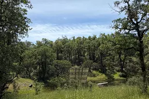 80540 Mina Rd, Covelo, CA 95428 - Photo 11