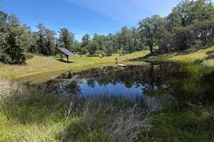 80540 Mina Rd, Covelo, CA 95428 - Photo 7