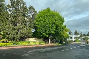 260 English Flag Way, Sonoma, CA 95476 - Photo 9