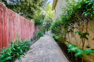 320 Dolan Ave, Mill Valley, CA 94941 - Photo 35