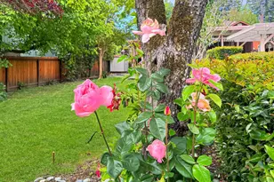 14759 Northern Ave, Guerneville, CA 95446 - Photo 33