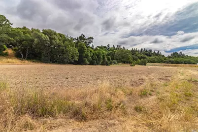 253 Forsythe Drive, Redwood Valley, CA 95470 - Photo 11