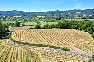 5143 Dry Creek Rd, Healdsburg, CA 95448 - Photo 9