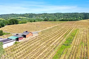 5143 Dry Creek Rd, Healdsburg, CA 95448 - Photo 53