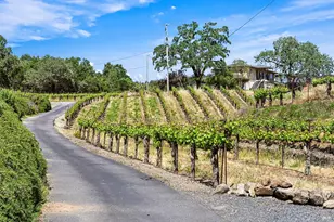5143 Dry Creek Rd, Healdsburg, CA 95448 - Photo 15