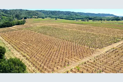 5143 Dry Creek Road, Healdsburg, CA 95448 - Photo 59