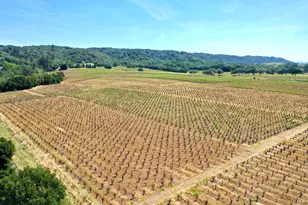 5143 Dry Creek Rd, Healdsburg, CA 95448 - Photo 59