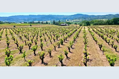 5143 Dry Creek Road, Healdsburg, CA 95448 - Photo 11