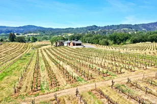 5143 Dry Creek Rd, Healdsburg, CA 95448 - Photo 63