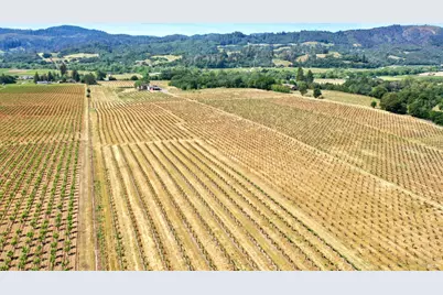 5143 Dry Creek Road, Healdsburg, CA 95448 - Photo 67