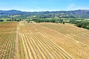 5143 Dry Creek Rd, Healdsburg, CA 95448 - Photo 67