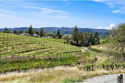 5143 Dry Creek Road, Healdsburg, CA 95448 - Photo 57