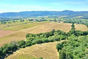 5143 Dry Creek Rd, Healdsburg, CA 95448 - Photo 7