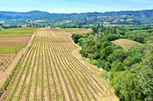 5143 Dry Creek Rd, Healdsburg, CA 95448 - Photo 75