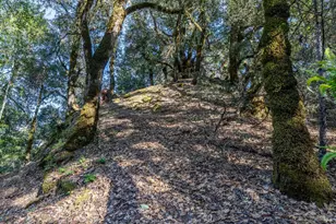 28801 Pinecrest Rd, Willits, CA 95490 - Photo 59