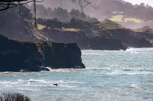 45180 Headlands Dr, Mendocino, CA 95460 - Photo 51
