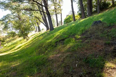 88 Forest Lane, San Rafael, CA 94903 - Photo 27