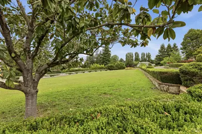 260 Metz Lane, Petaluma, CA 94952 - Photo 77
