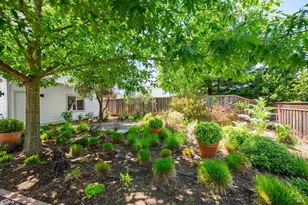 997 Lupine Ct, Healdsburg, CA 95448 - Photo 7