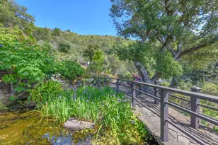 75 Lee St, Mill Valley, CA 94941 - Photo 43