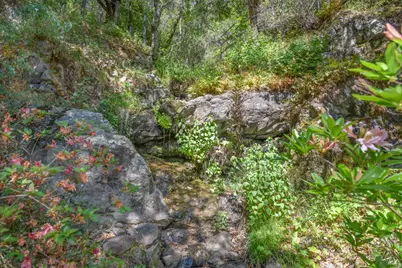 75 Lee Street, Mill Valley, CA 94941 - Photo 59