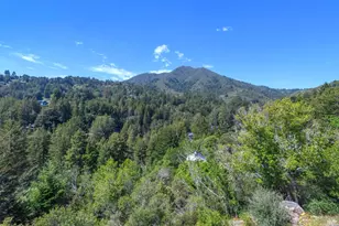 75 Lee St, Mill Valley, CA 94941 - Photo 7