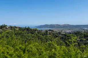 122 Altura Way, Greenbrae, CA 94904 - Photo 35