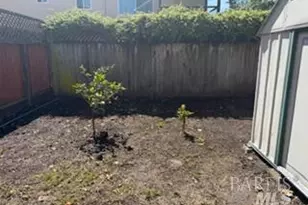 1034 Evelyn Ave, Albany, CA 94706 - Photo 37