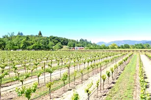 4951 W Soda Rock Ln, Healdsburg, CA 95448 - Photo 47