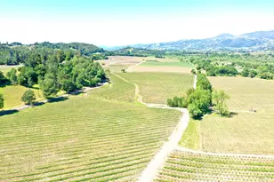 4951 W Soda Rock Ln, Healdsburg, CA 95448 - Photo 41