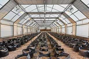 [Address not provided], Willits, CA 95454 - Photo 43