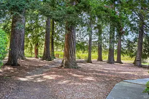 5520 W Soda Rock Ln, Healdsburg, CA 95448 - Photo 87