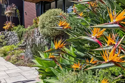 312 Fairhills Drive, San Rafael, CA 94901 - Photo 47