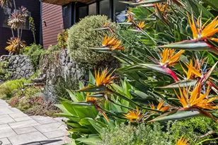 312 Fairhills Dr, San Rafael, CA 94901 - Photo 47