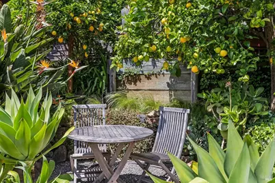 312 Fairhills Drive, San Rafael, CA 94901 - Photo 49