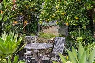 312 Fairhills Dr, San Rafael, CA 94901 - Photo 49