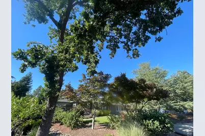 189 El Camino Corto, Walnut Creek, CA 94596 - Photo 81