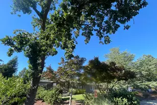 189 El Camino Corto, Walnut Creek, CA 94596 - Photo 81