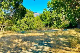 189 El Camino Corto, Walnut Creek, CA 94596 - Photo 85