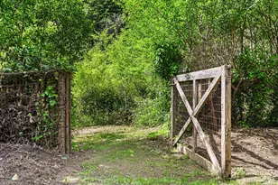1365 Austin Creek Rd, Cazadero, CA 95421 - Photo 53