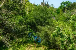 1797 Silverado Trail, Napa, CA 94558 - Photo 29