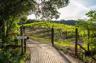 6355 Mountain View Ranch Rd, Healdsburg, CA 95448 - Photo 65