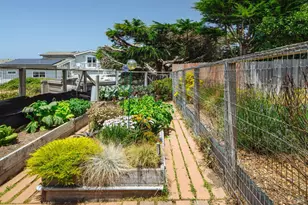221 Oceana Dr, Dillon Beach, CA 94929 - Photo 33