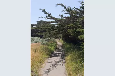 256 Ballast, The Sea Ranch, CA 95497 - Photo 61