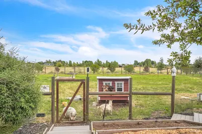 8304 Shadi Lane, Winters, CA 95694 - Photo 65