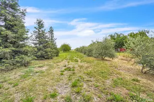 8304 Shadi Ln, Winters, CA 95694 - Photo 91