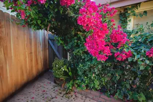 1782 Hoen Ave, Santa Rosa, CA 95405 - Photo 35